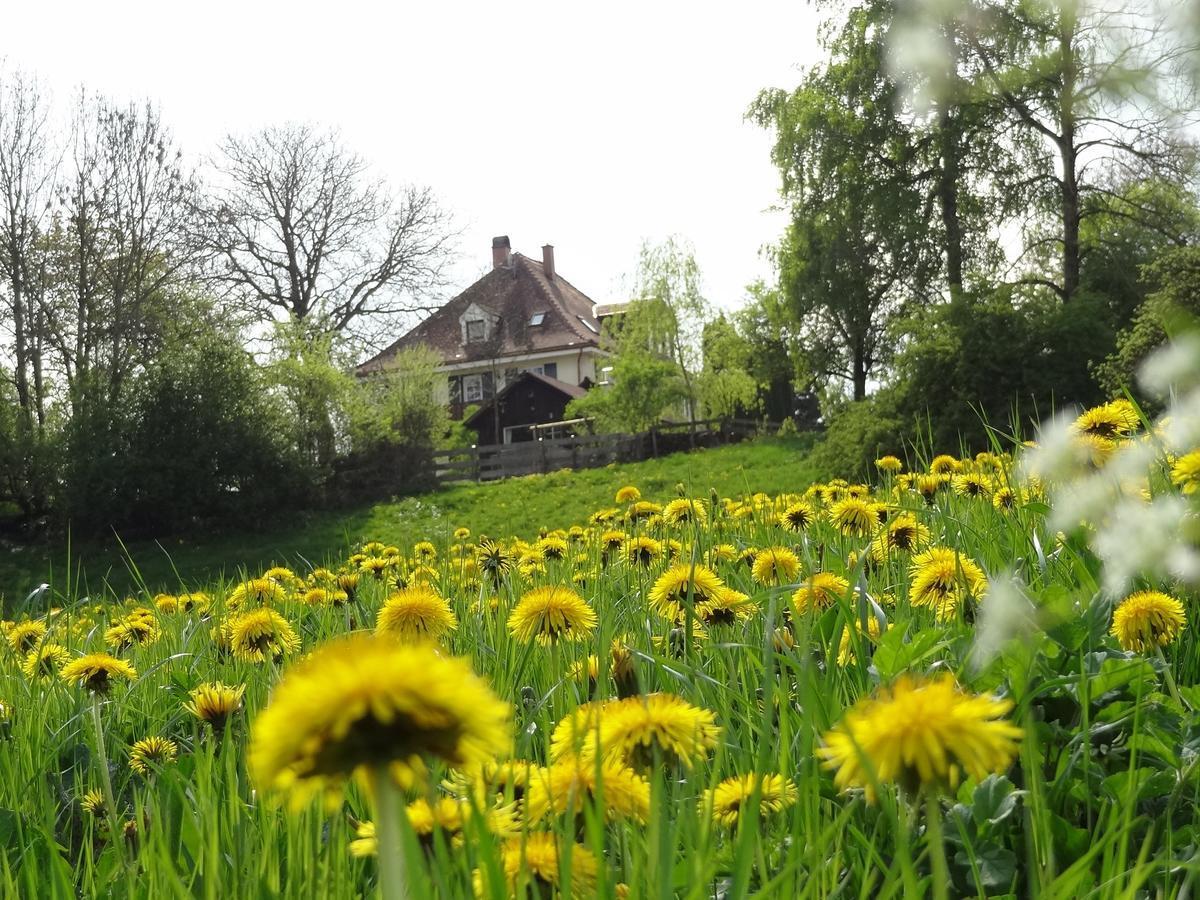 Landhaus Loewenzahn Unteregg Buitenkant foto