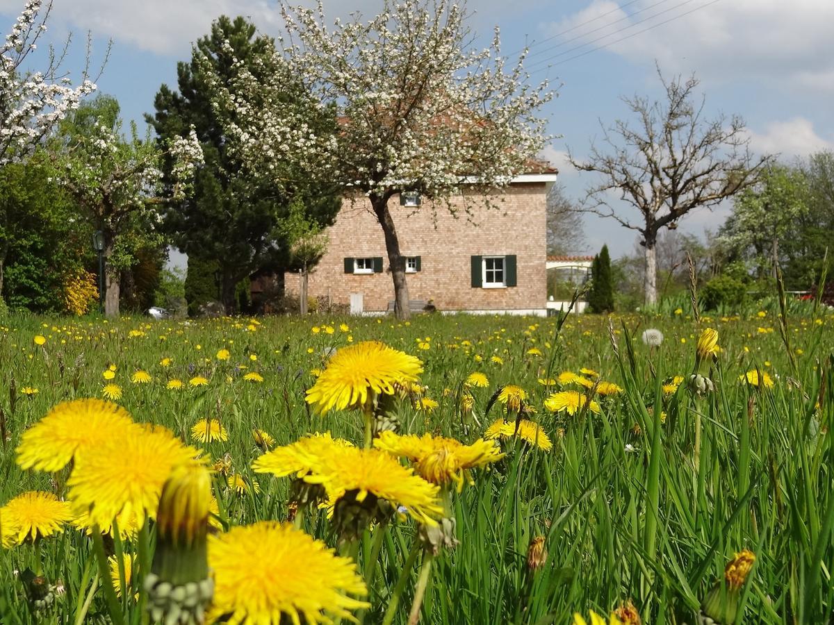 Landhaus Loewenzahn Unteregg Buitenkant foto
